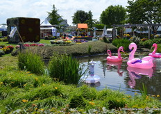 Tuesday was a nice sunny day, the rest of the week we've had a lot of rain.